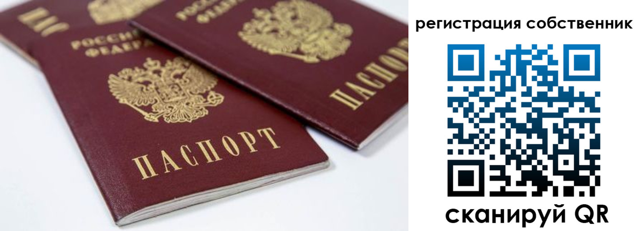 прописка для школы в Славянске-на-Кубани